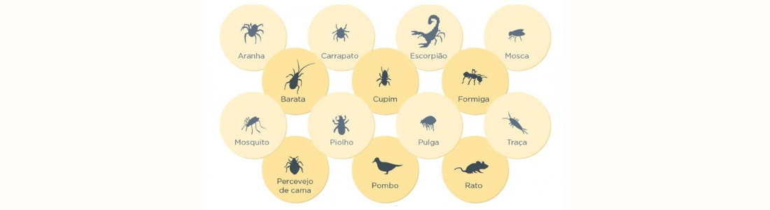 Dedetizadora em Geral em São Paulo 24 HORAS